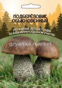 Мицелий Грибы Подберезовик Обыкновенный (ССПК) Б-Ф