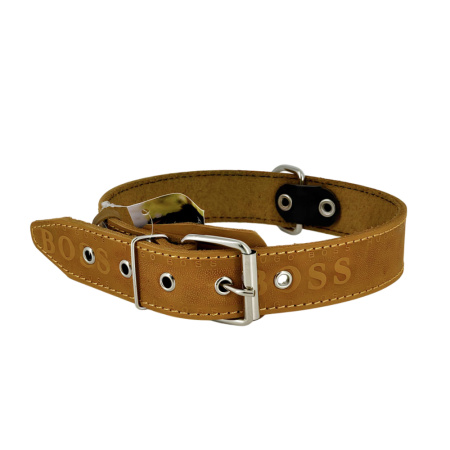 большой ошейник оранж 1