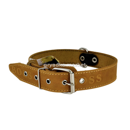 большой ошейник оранж 1