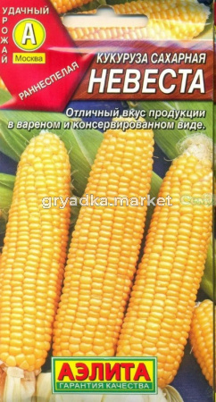 Кукуруза Невеста сахар. Аэлита