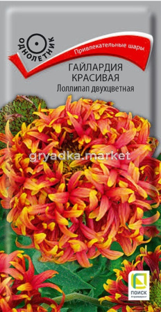 Гайлардия Лоллипап двухцветн. (ЦВ)(