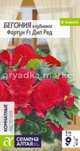 Бегония Фортун Дип Ред клубневая-Сем Алт-цп 5 шт.
