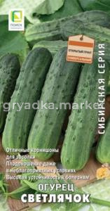 Огурец Светлячок 15шт  (Поиск)  сиб