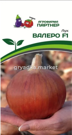 Лук репч. Валеро F1 0,5г Ранн (Партнер)