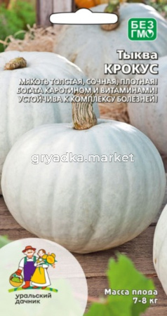 Тыква Крокус крупноплодная 6шт Ср (УД)