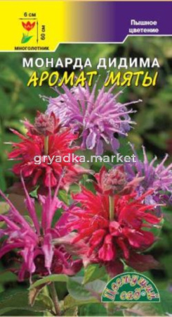 Монарда Аромат мяты, смесь Цвет.Сад
