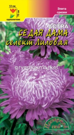 Астра СЕДАЯ ДАМА селект ЛИЛОВАЯ Цвет.сад.