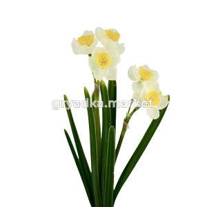 Искусственные цветы Нарцисс из силикона h28см в ассорт. 204852 4