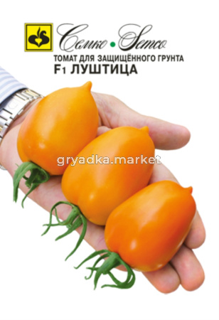 Томат Луштица -ранн, сливов,с носиком- Семко