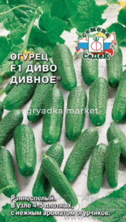 Огурец Диво Дивное F10,2г -парт,мелбуг,бел.опуш (Седек)