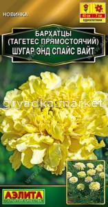 Бархатцы пр. Шугар энд спайс вайт 10шт Одн 40см (Аэлита)