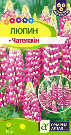 Люпин Чателайн-Сем Алт-цп 0,3 гр. многолетник