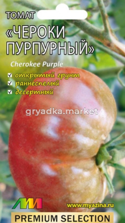 Томат Чероки пурпурный