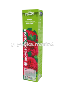 Госпел-Photoroom