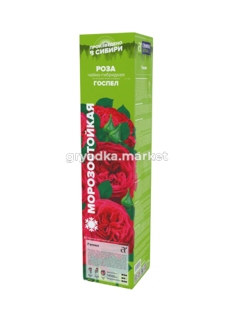 Госпел-Photoroom