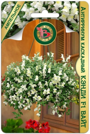 Антирринум (Львиный зев) Кэнди F1 Вайт каскад 20шт Одн 30см (Биотехника)