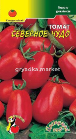 Томат Северное чудо Цвет.сад.