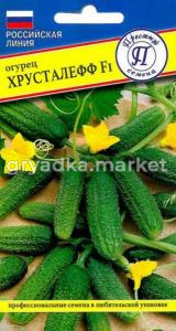 Скриншот 29-10-2024 100137