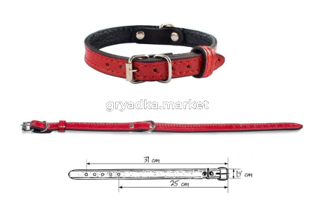 Ошейник кожаный 25-31смх14мм Брайт 2-х слойный 1-1
