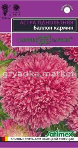 Астра Баллон кармин густомахровая 0,05г Одн 60см (Гавриш) Эксклюзив Н22