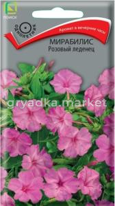 Мирабилис Розовый леденец 1г Одн 80см (Поиск)