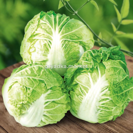 Капуста пекинская Пленти F1 16шт Ср (Сады России)
