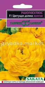Ранункулюс Цветущая долина золотая 3шт Гавриш