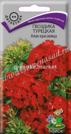 Гвоздика Турецкая Алая красавица 0,5гр. Поиск