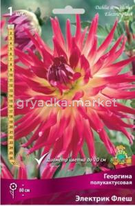 Георгина полукактусовая Электрик Флеш