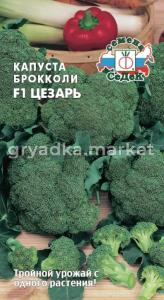 Капуста брокколи Цезарь F1 0,3г.средн-ПР.ПОСЕВ В ГРУНТ-(Седек)