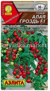 Скриншот 29-06-2026 104815