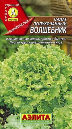 Салат Волшебник Аэлита