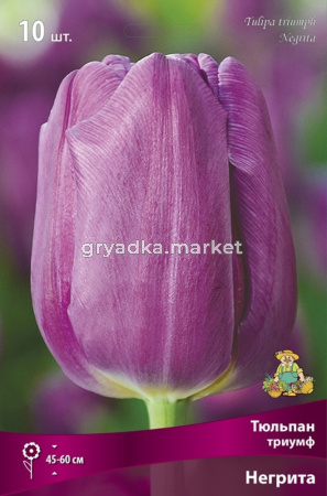 Тюльпан Негрита Микс 10шт. махр.поздн.