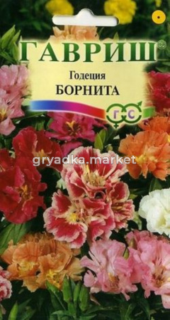Годеция Борнита 0,1г низкая Гавриш