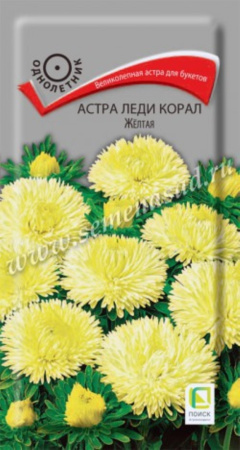 Астра Леди Корал Жёлтая розовидная 0,1г Одн 70см (Поиск)