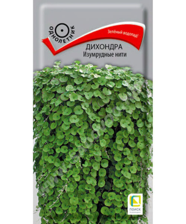 Дихондра Изумрудные нити 5шт (Поиск)