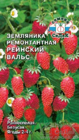 Земляника Рейнский Вальс 0,04г.(Седек) Земляника Рейнский Вальс 0,04г.(Седек)