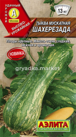 Тыква Шахерезада мускатная (Аэлита)