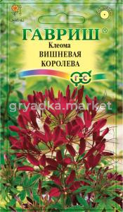 Клеома Вишневая королева 0,3г Гавриш