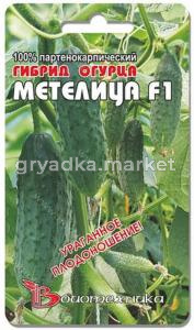 Огурец Метелица F1 - Биотехника