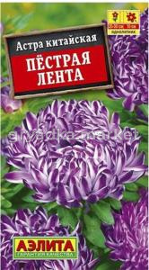 Астра Пестрая лента (Аэлита)