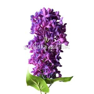 3576-1-Photoroom (1)