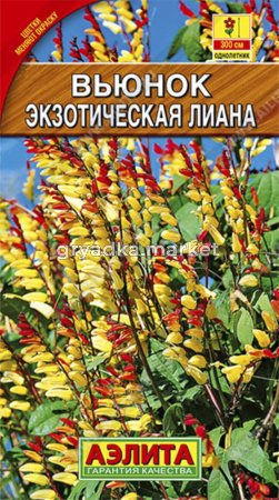 Вьюнок Экзотическая лиана ,звездч. Аэл.