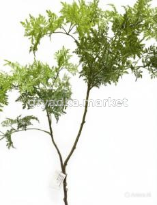 diting_result_de175940a9db11f190a57ee3673230ed_1