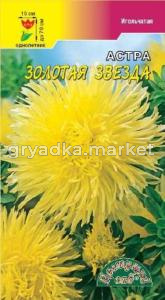 Астра Звезда Золотая игольч.Цвет.сад.