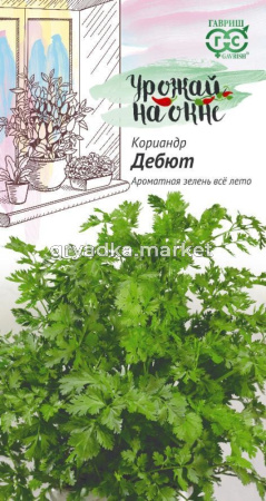Кориандр Дебют 2,0г.Урожай на окне Гавриш