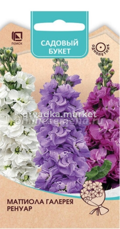 Левкой (маттиола) Галерея Ренуар 0,05гр Одн 70см (Поиск) Садовый букет