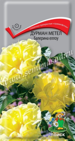 Дурман Балерина Еллоу ,метельч.3шт. Поиск Дурман Балерина Еллоу ,метельч.3шт. Поиск