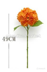 diting_result_8dbd2bc3a9dc11f19b3262569497eb2e_1