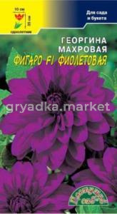 Георгина Фигаро F1 Фиолетовая махровая 0.05г (Цвет сад)